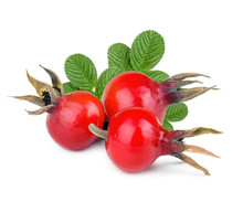 Rose Hip Berries With Leaves Isolated On White Background. Clipping Path
