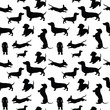 Seamless pattern with dogs. Can be used for textile, website background, book cover, packaging.