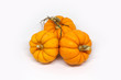 halloween pumpkins jack be little gourds white background 2