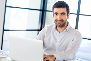 Poster - Handsome businessman working at computer