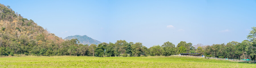 Wall Mural - Panoramic landscape view of green fields