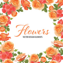 Rose Flowers In Orange Color And Begonia Flower On White Background Template. Vector Set Of Blooming Floral For Wedding Invitations And Greeting Card Design. 