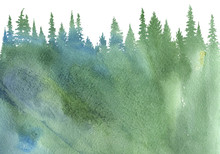 Watercolor Landscape With Fir Trees
