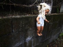 Old Doll On A Fence