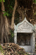Shrine in Shadow by Tree Roots at Golden Mount in Bangkok, Thailand