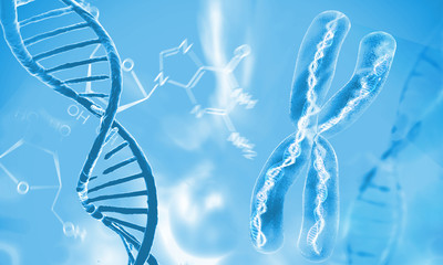 Wall Mural - dna double helix molecules and chromosomes
