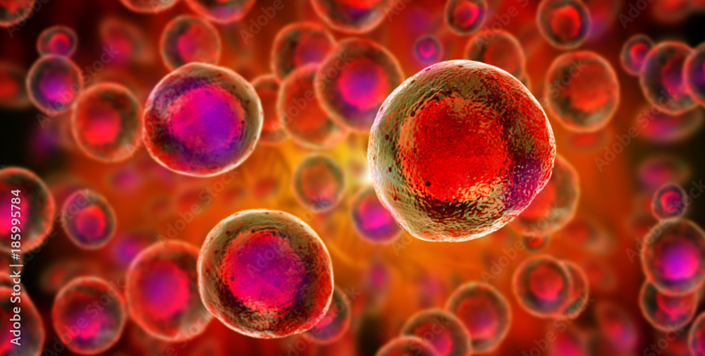 Illustration of embryonic stem cells - obrazy, fototapety, plakaty 