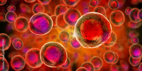 Illustration of embryonic stem cells Poster Mural XXL