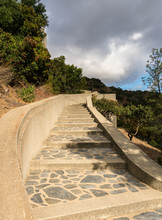 Wrigley Memorial And Botanic Gardens On Catalina Island