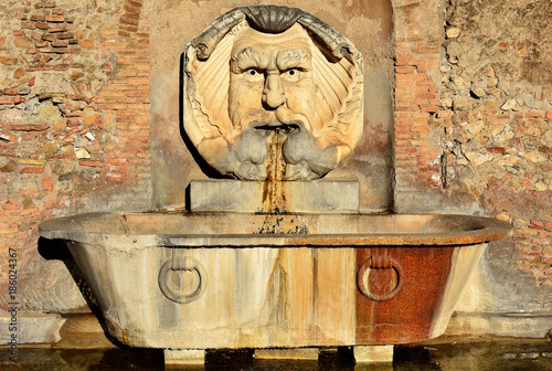 Cuadros en Lienzo Beautiful fountain in orange gardens in Rome, Italy