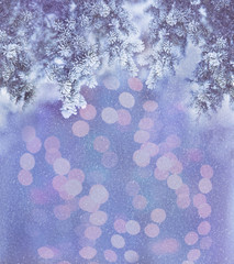 Border winter nature christmas background with frozen spruce branch with glitter lights, bokeh, snow. View through the white frost pine branch. Happy new year frame pastel card. Text space.