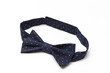bow tie on white background