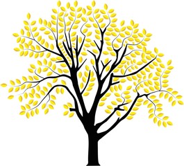 Wall Mural - vector image of a tree in autumn