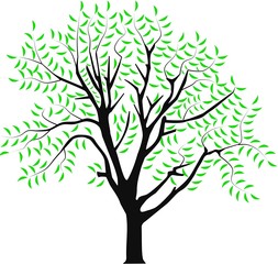 Wall Mural - vector image of a tree in spring