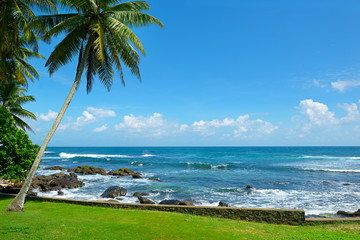 Wall Mural - Tropical seascape with coconut palm, turquoise sea and clouds on blue sky.