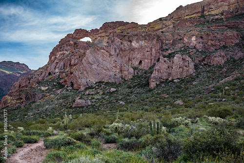 Fotografía A trais leads into the rugged back country towards the Double Arches of Organ Pipe National Monument in southern Arizona