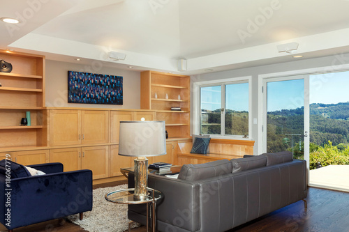 Living Room With Amazing Wooden Build In Furniture Leather Couch Living Room With Amazing Wooden Build In Furniture Leather Couch Loudspeaker Gl