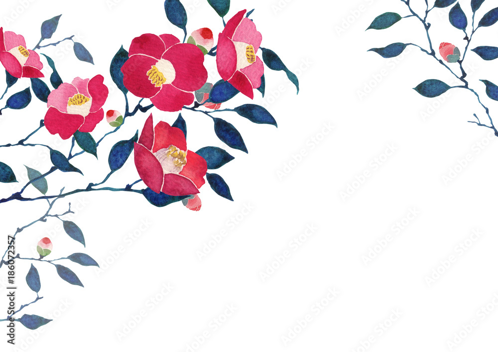 椿の 花の水彩画 フレーム付き 椿の 花の水彩画 フレーム付き 手書きの椿の水彩画 （[水彩画]椿の花