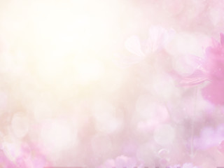Wall Mural - abstract blurred cosmos flower and bokeh light with copy space for background