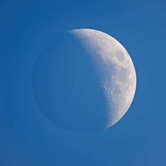 Wall Mural - moon - waxing crescent and gray light against blue sky background