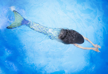 Tween girl in mermaid tail swimming in pool 