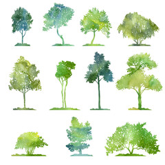 Wall Mural - watercolor set of deciduous trees