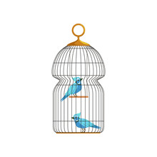 Couple Blue Jay Characters In Big Hanging Cell. Cute Birds With Bright Feathers. Icon In Flat Style. Infographic Vector Element For Pets Healthcare