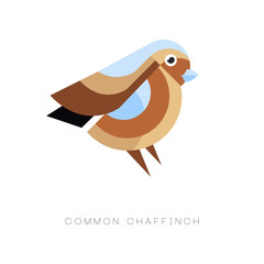 Wall Mural - abstract logo design of common chaffinch. geometric flat vector icon. small passerine bird. colorful