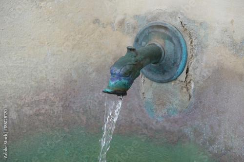 Water Coming Out Of A Spigot Shaped Like A Dragon Animal Shaped