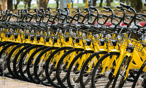 the yellow bike project