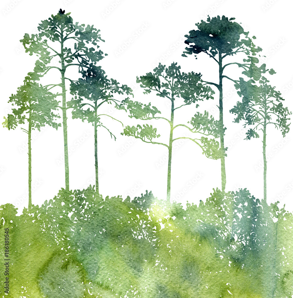 watercolor landscape with pine trees Stock Illustration | Adobe Stock
