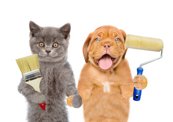 Poster - Funny puppy and kitten with  paint roller and paint brush. isolated on white background
