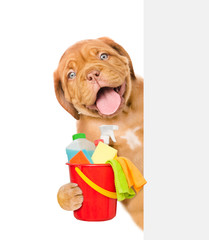 Poster - Cleaning concept. Puppy above white banner holds bucket with  washing fluids and rags in paws. isolated on white background