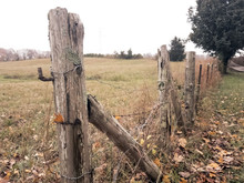Weathered Cedar Gate Post And Rusted Barbed Wire Fence