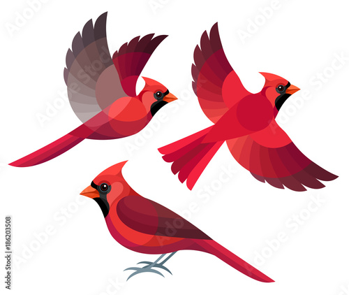 Fotografía Stylized Birds - Northern Cardinal