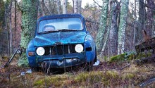 Abandoned Car In Forest