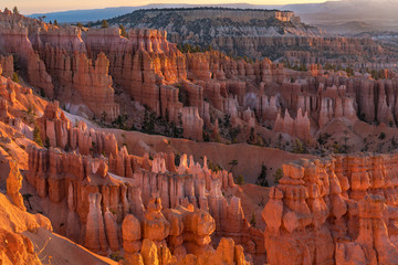 Wall Mural - Sunrise in Zion National Park