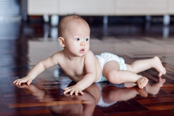 Wall Mural - Cute adorable little Asian 8 months old baby boy child wearing diaper try to crawling on wood floor near the grey dog (Blur) in living room at home, photo in real life interior, Selective focus