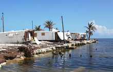 Hurricane Irma Disaster