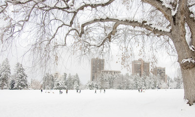 Cheesman Park