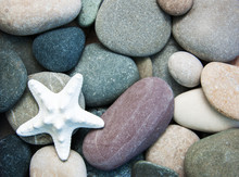Sea Pebble Stones And Starfish