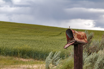 Abandoned Rusty Mailbox