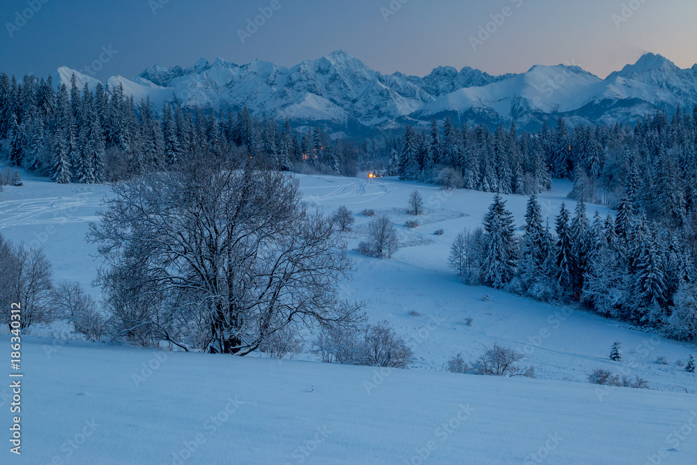 Obraz na płótnie Świerzy śnieg w górach Tatry - Białka Tatrzańska w salonie