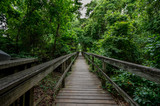 Fototapeta Do pokoju - Trail on Currituck Banks North Carolina National Estuarine Research Reserve