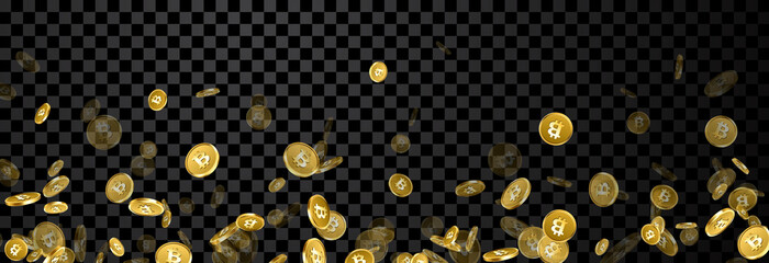 Wall Mural - Banner with falling gold bitcoins.