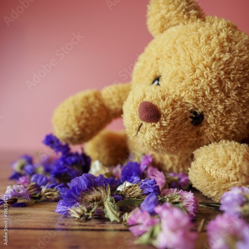 purple flower teddy bear