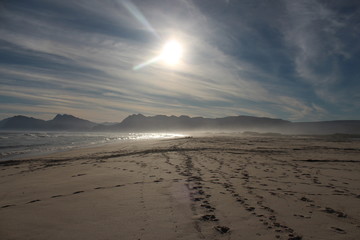 Wall Mural - Beach in South Africa, 2012