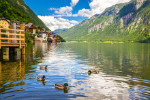 Fantastic Landscape Of Hallstatt Lake With Ducks, Austrian Alps,  Salzkammergut, Austria, Europe