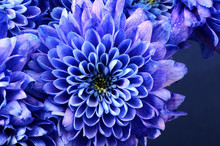 Details Of Blue Flower For Background Or Texture