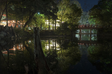 氷川神社　大晦日　初詣